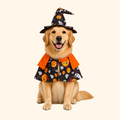 MESTR Halloween Dog Cape – Spooky Photo-Ready Costume