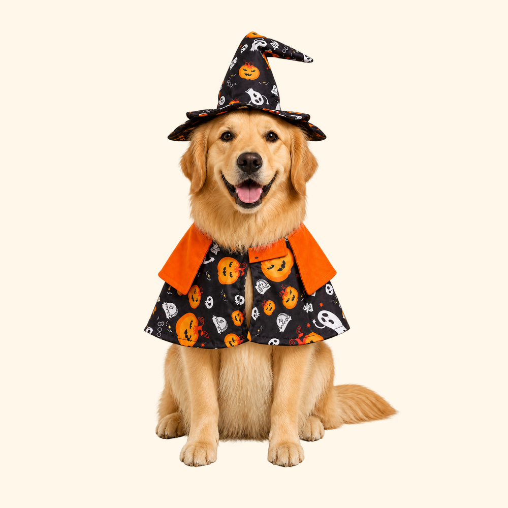 MESTR Halloween Dog Cape – Spooky Photo-Ready Costume