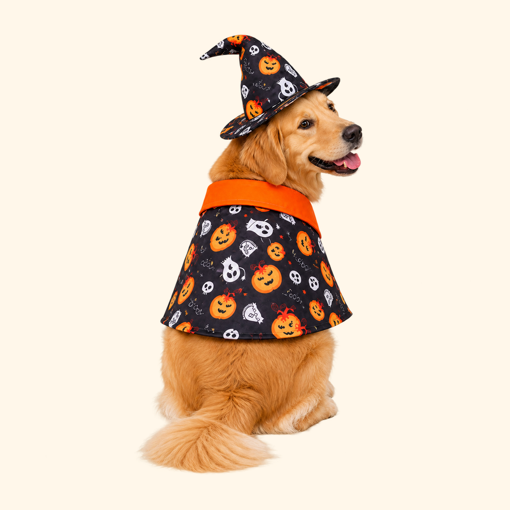 MESTR Halloween Dog Cape – Spooky Photo-Ready Costume